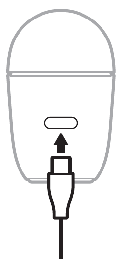 USB-C cable connects to the bottom of the case