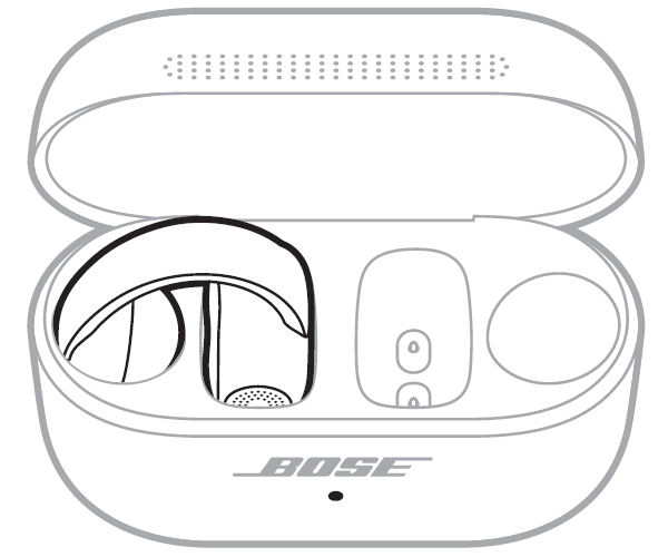 left earbuds in case