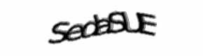 Security check image, please type the characters shown