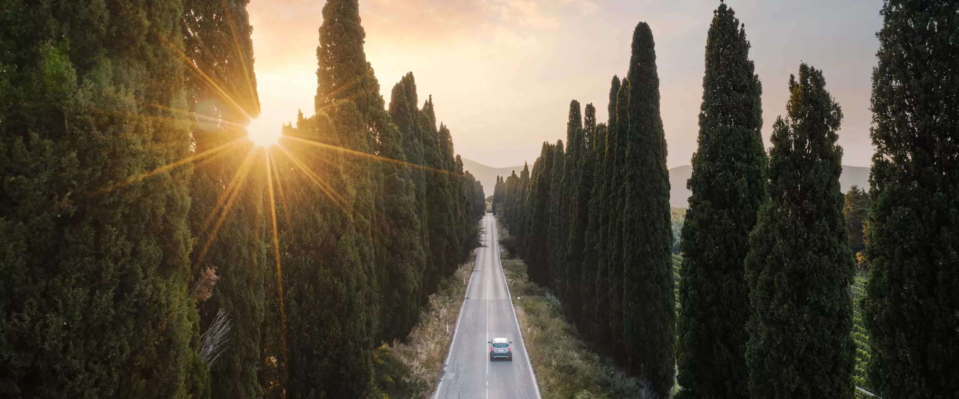Tree-lined road at sunset