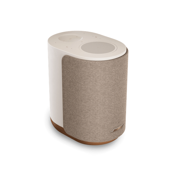 Bose Lifestyle Ultra Speaker tdt