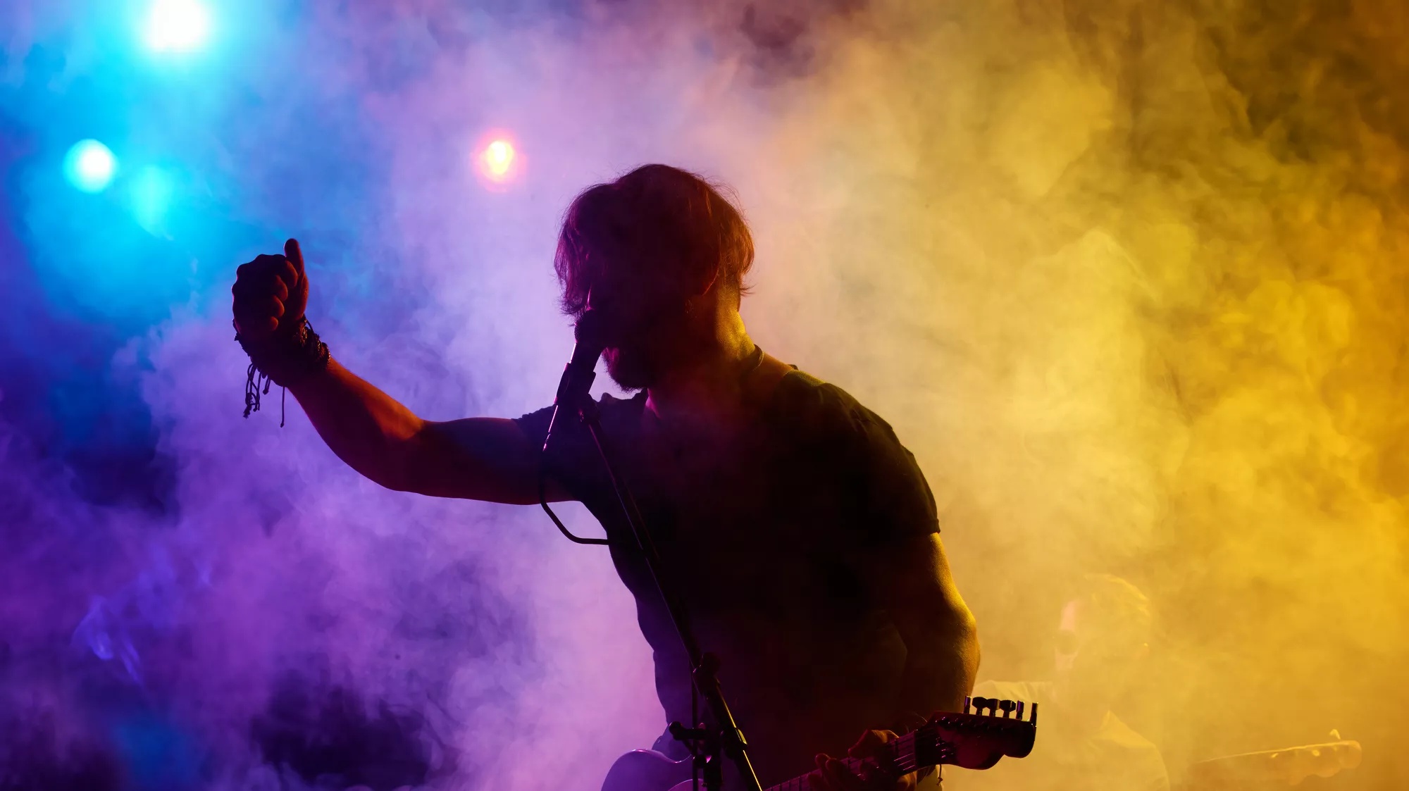 Musician performing onstage