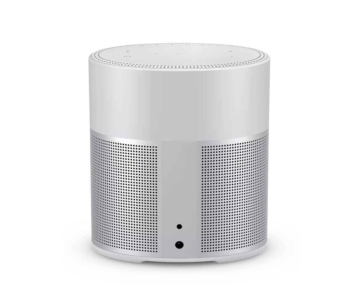 Bose Home Speaker 300 | Bose Support