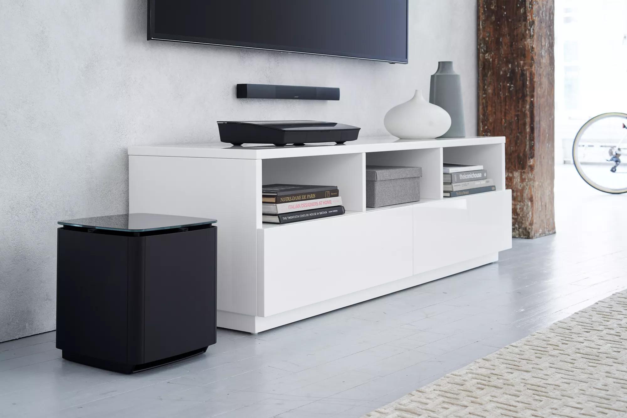 Lifestyle® 650 home entertainment system in the living room