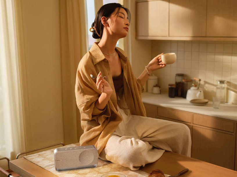 Enceinte Bluetooth Bose Soundlink Home tdt