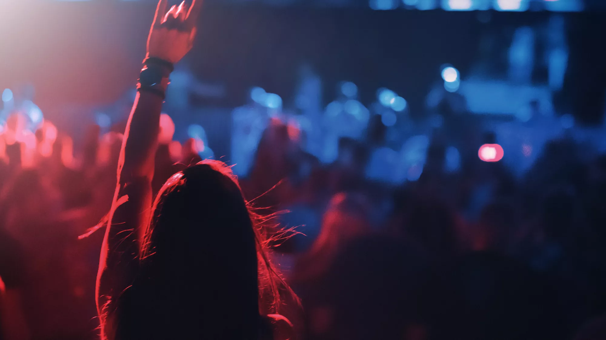 Un public à un concert