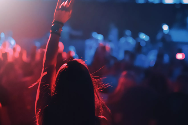 Audience at a concert