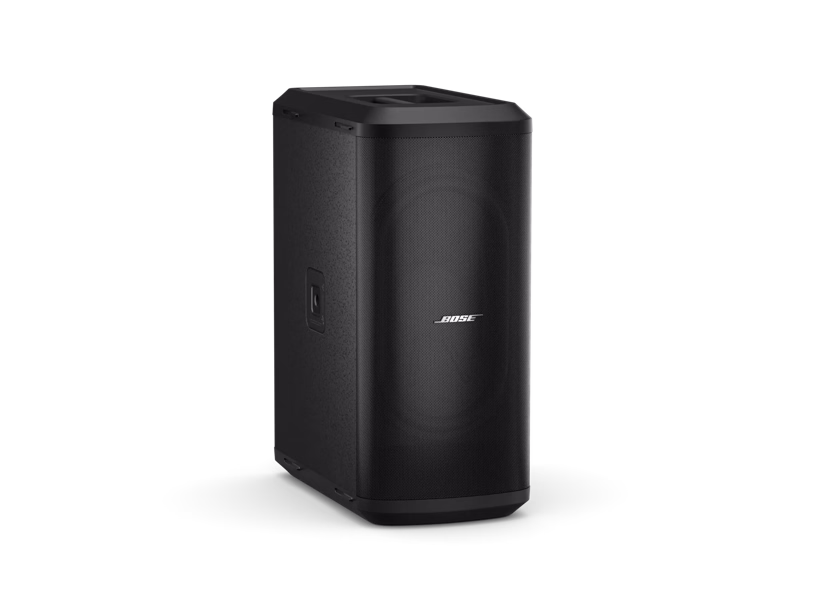 Sub2 Powered Bass Module tdt