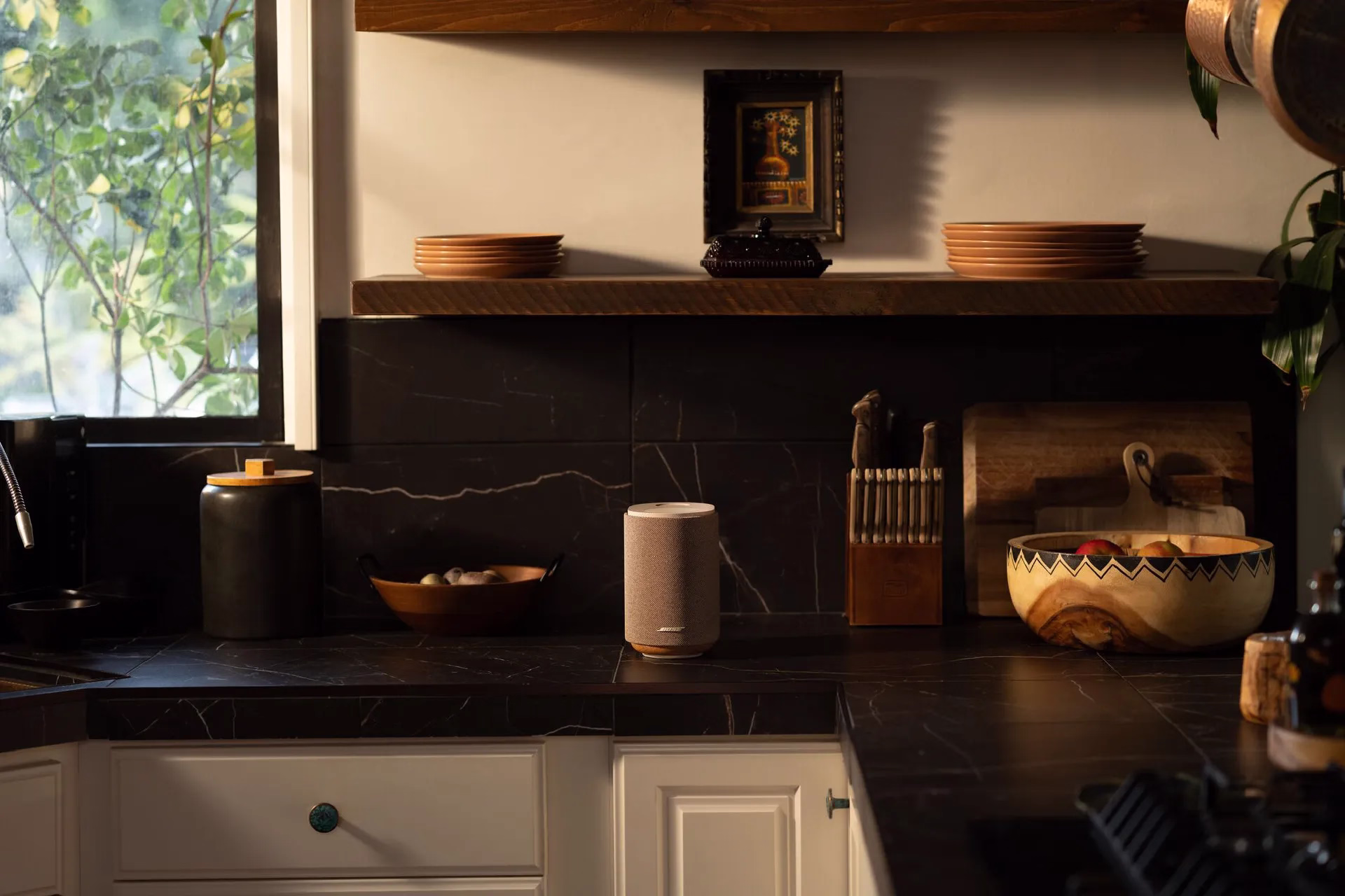 Bose Lifestyle Ultra Speaker
