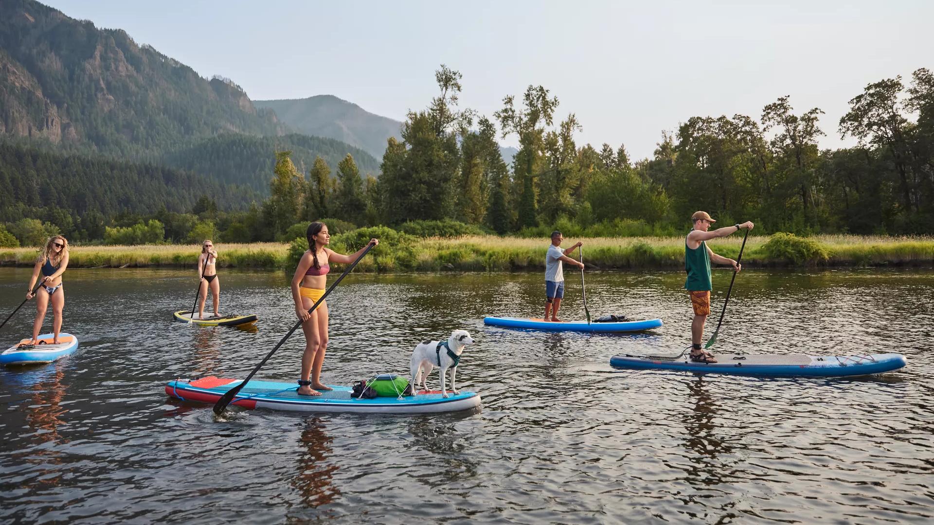 Five friends and a dog on stand-up paddleboards in a lake listening to music on a SoundLink Flex bluetooth speaker